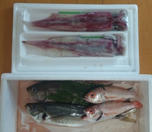 島根県大田市鮮魚3
